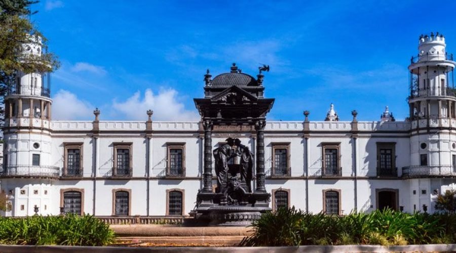 Consolidación y proyección